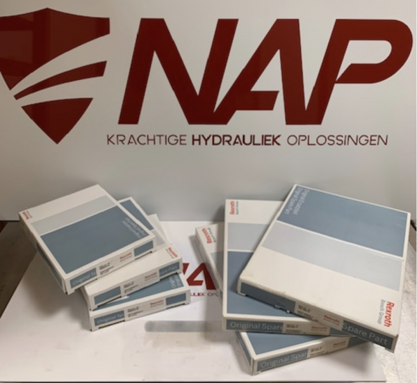 R910941168 AFDICHTINGSSET A10V100 DFLR/31V+ VERP